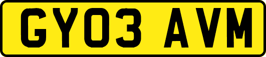 GY03AVM