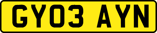 GY03AYN