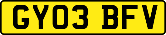 GY03BFV