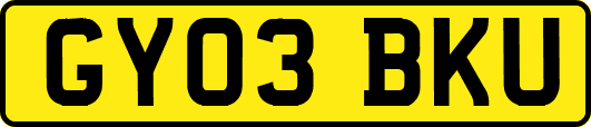 GY03BKU