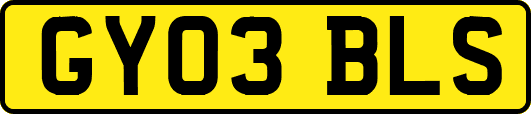 GY03BLS