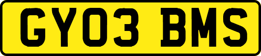 GY03BMS