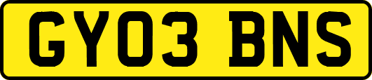 GY03BNS