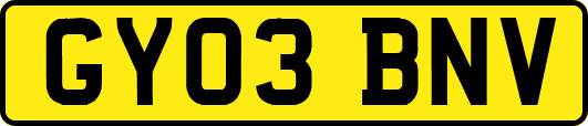 GY03BNV