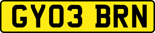 GY03BRN
