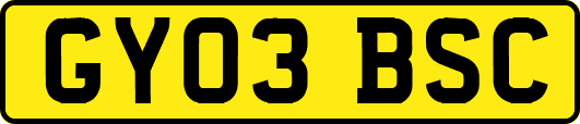 GY03BSC