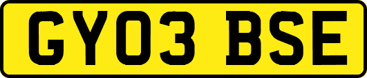 GY03BSE