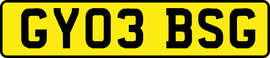 GY03BSG