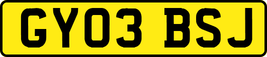 GY03BSJ
