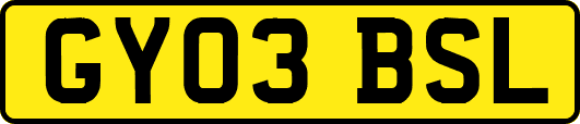 GY03BSL