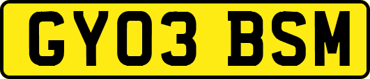 GY03BSM