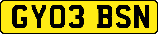 GY03BSN