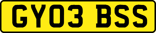 GY03BSS