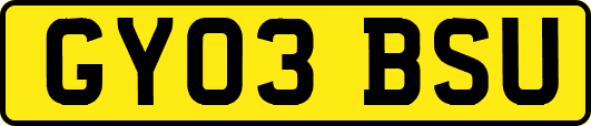 GY03BSU