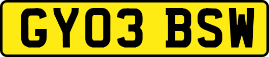 GY03BSW