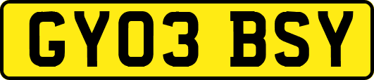 GY03BSY