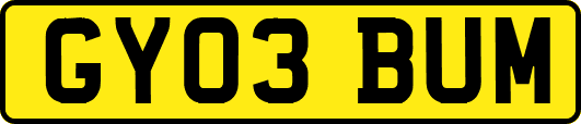 GY03BUM
