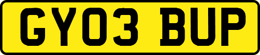 GY03BUP