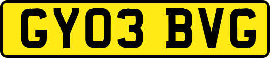 GY03BVG