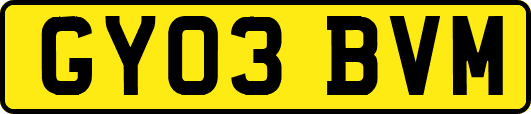 GY03BVM