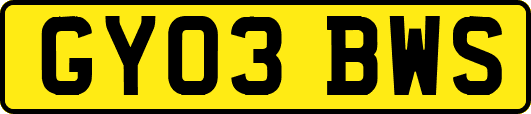 GY03BWS