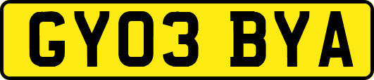 GY03BYA