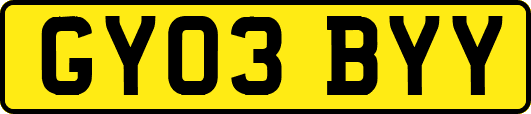 GY03BYY