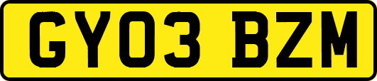 GY03BZM