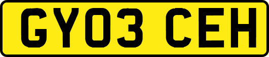 GY03CEH