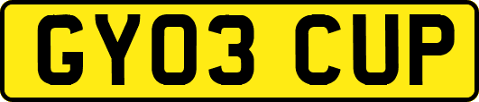 GY03CUP