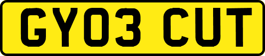 GY03CUT