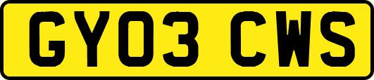 GY03CWS