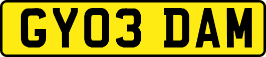 GY03DAM