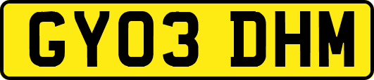 GY03DHM