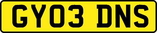GY03DNS