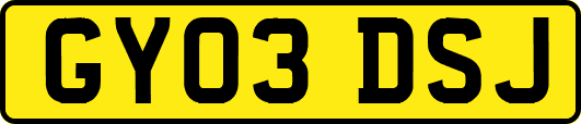 GY03DSJ