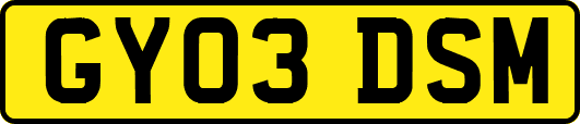 GY03DSM