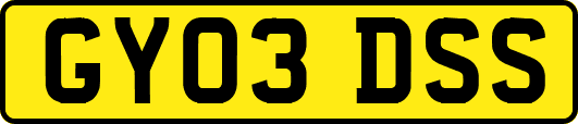 GY03DSS