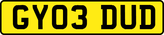 GY03DUD