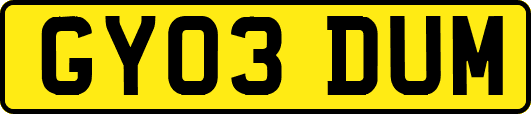 GY03DUM