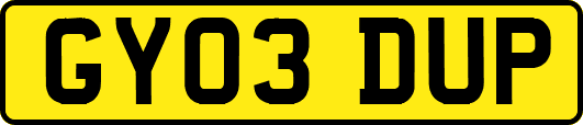 GY03DUP