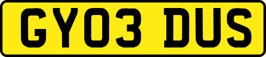 GY03DUS