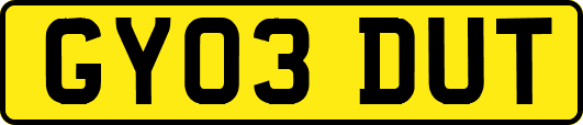 GY03DUT
