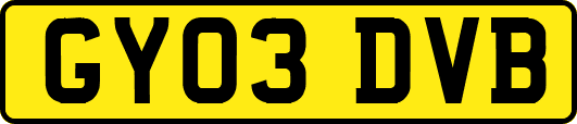 GY03DVB