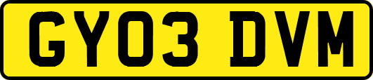 GY03DVM