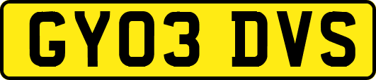 GY03DVS