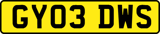 GY03DWS