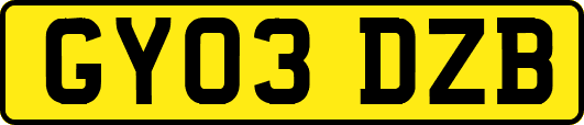 GY03DZB