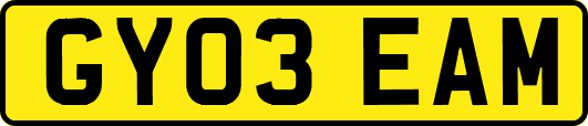 GY03EAM