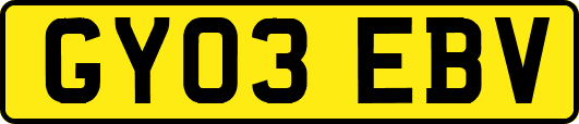 GY03EBV